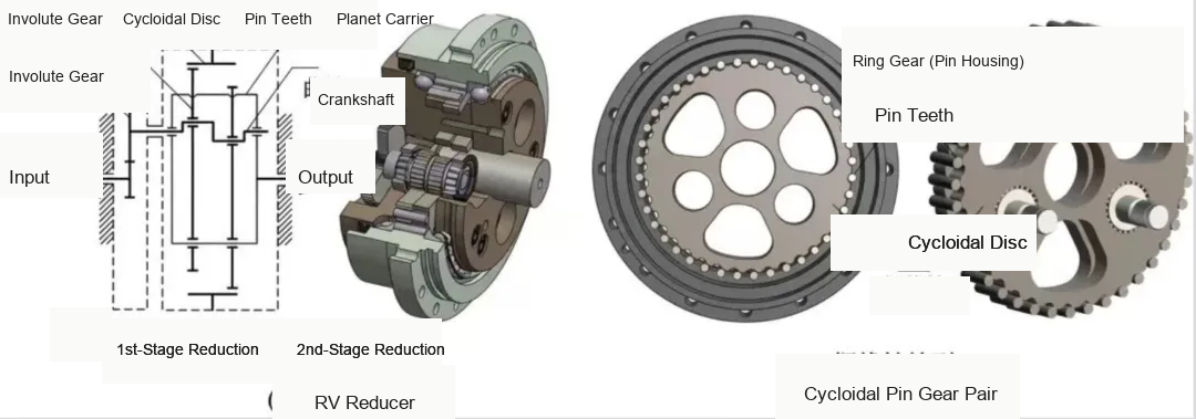Diagram explaining the structure of an RV reducer, including first-stage gear reduction, cycloidal disc, crankshaft, pin teeth, ring gear housing and cycloidal pin gear pair for high-rigidity robotic joint applications.